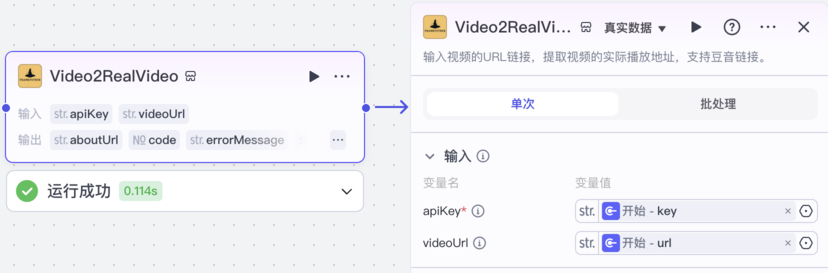 Video2RealVideo 节点 图片 1